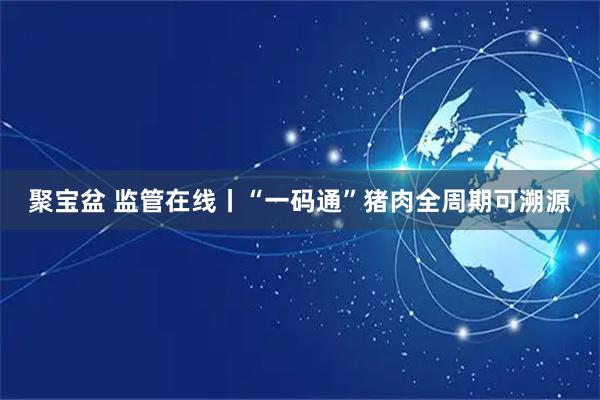 聚宝盆 监管在线丨“一码通”猪肉全周期可溯源