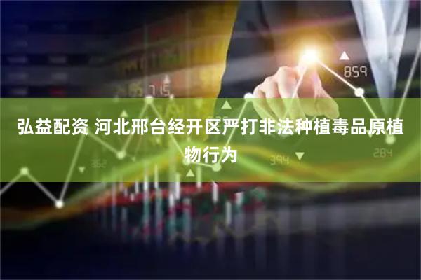弘益配资 河北邢台经开区严打非法种植毒品原植物行为