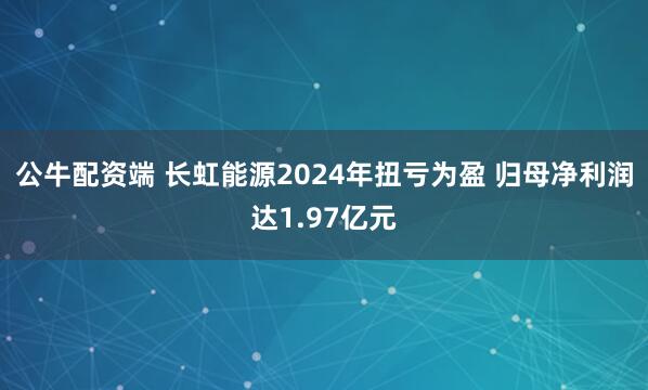 公牛配资端 长虹能源2024年扭亏为盈 归母净利润达1.97亿元