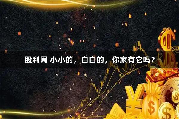 股利网 小小的，白白的，你家有它吗？