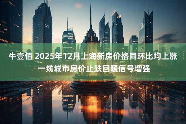 牛壹佰 2025年12月上海新房价格同环比均上涨 一线城市房价止跌回暖信号增强